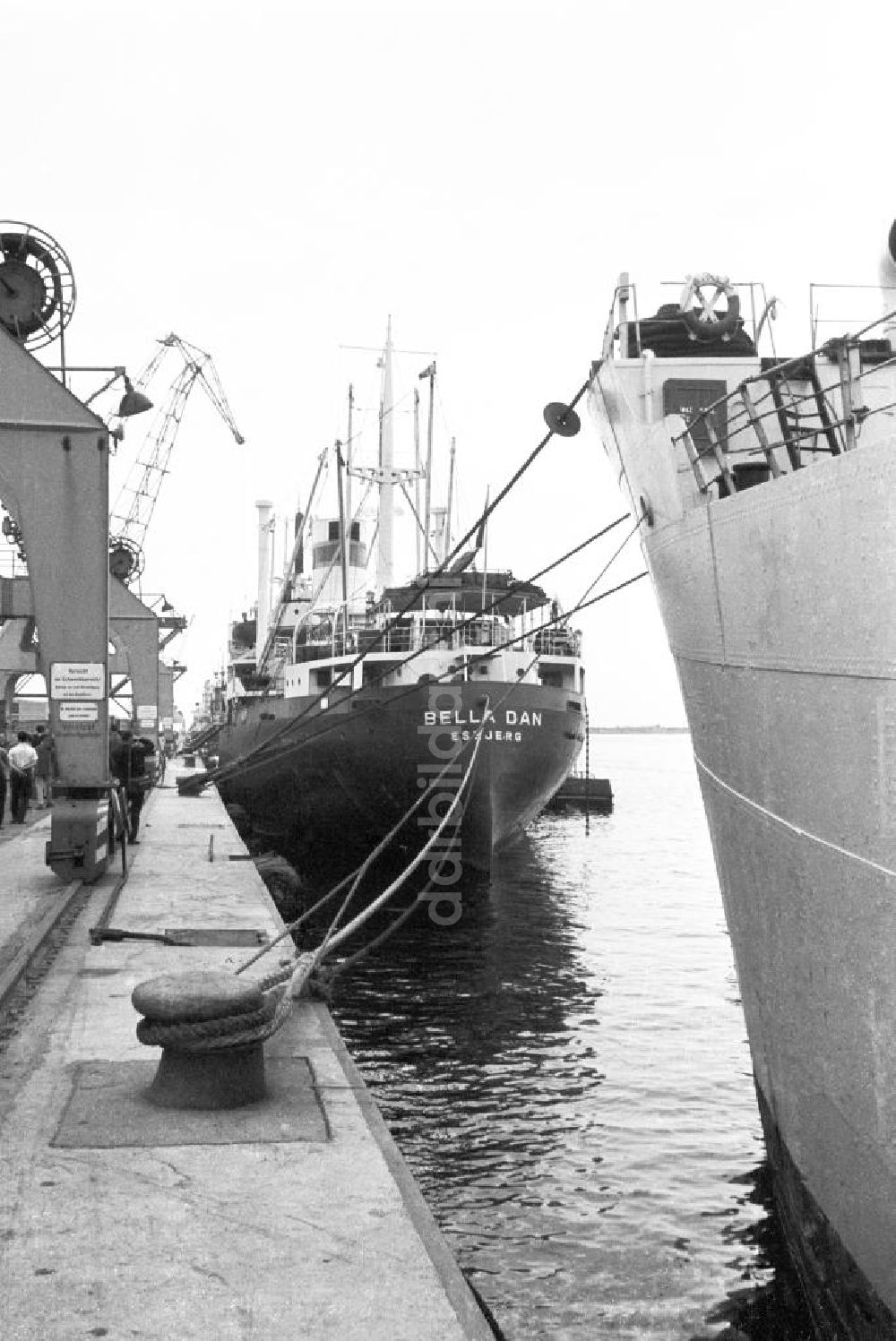 DDR-Bildarchiv: Rostock - Dänisches Schiff Bella Dan im Hochseehafen Rostock, 1962