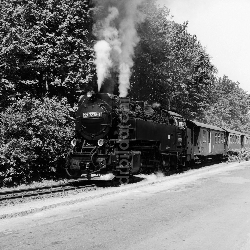 DDR-Bildarchiv: Wernigerode - DR-Dampflok 99 7238-1 der Harzquerbahn in Wernigerode in Sachsen-Anhalt in der DDR