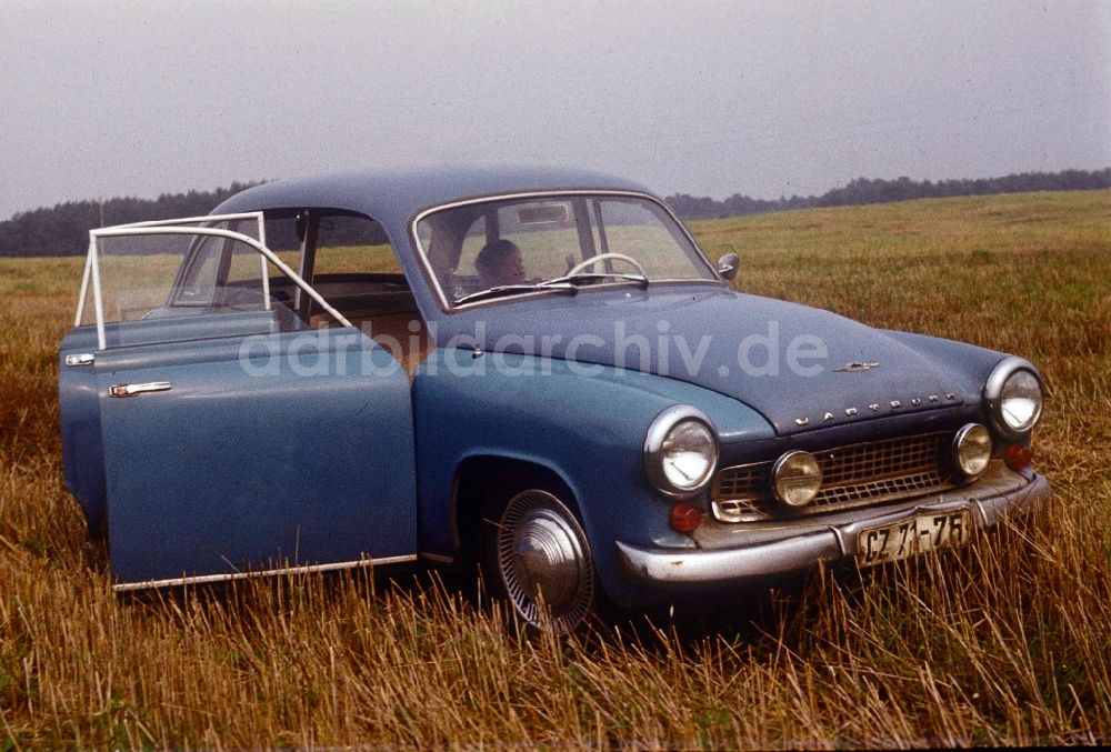 Neustrelitz: Ein blauer Wartburg 311 auf einem Feld in Neustrelitz in Mecklenburg-Vorpommern in der DDR