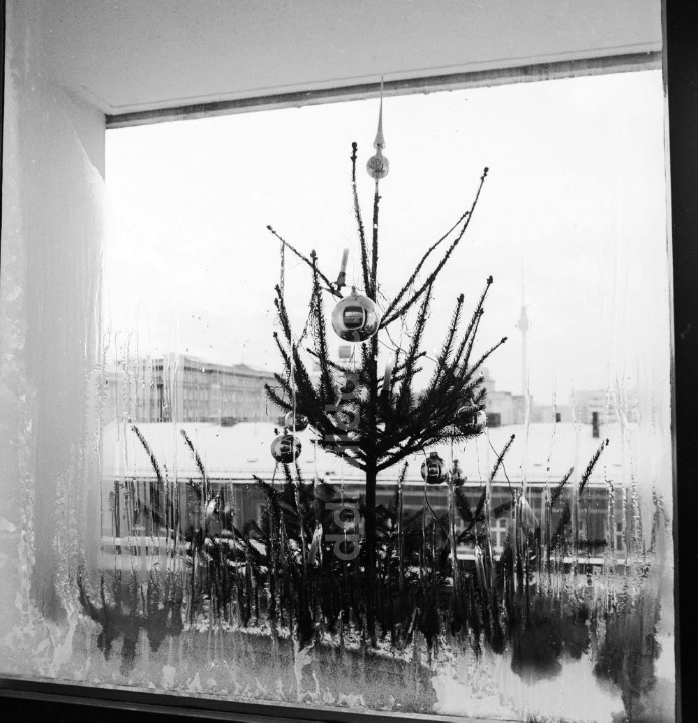 DDR-Fotoarchiv: Berlin - Ein geschmückter Weihnachtsbaum vor einem Fenster mit Eisblumen in Berlin