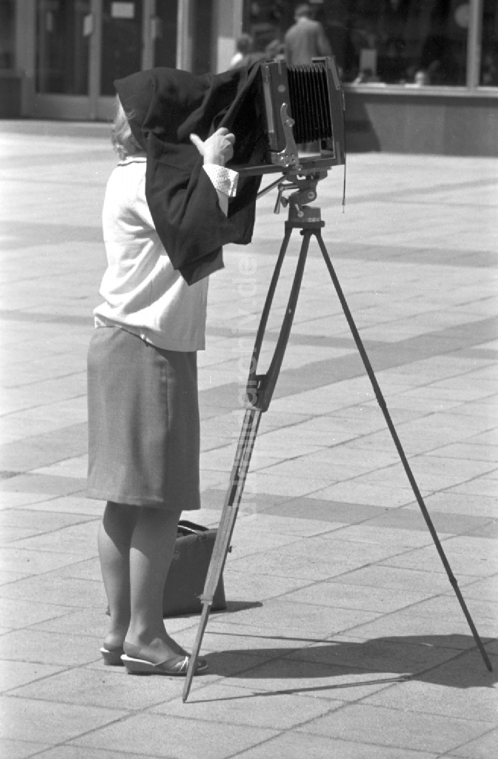 DDR-Fotoarchiv: Magdeburg - Eine Frau fotografiert mit einer Plattenkamera auf einem Holzstativ in Magdeburg