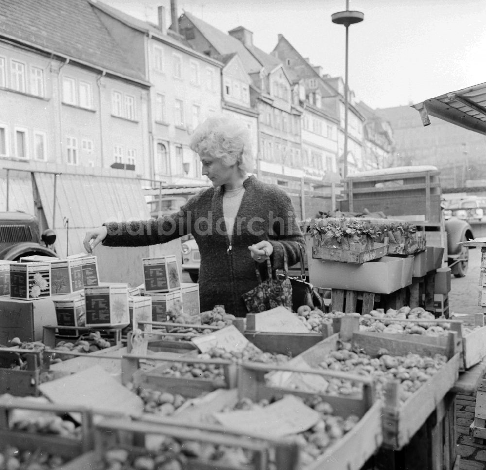 Arnstadt: Eine Frau kauft Blumenzwiebel auf dem Wochenmarkt in Arnstadt in Thüringen in der DDR