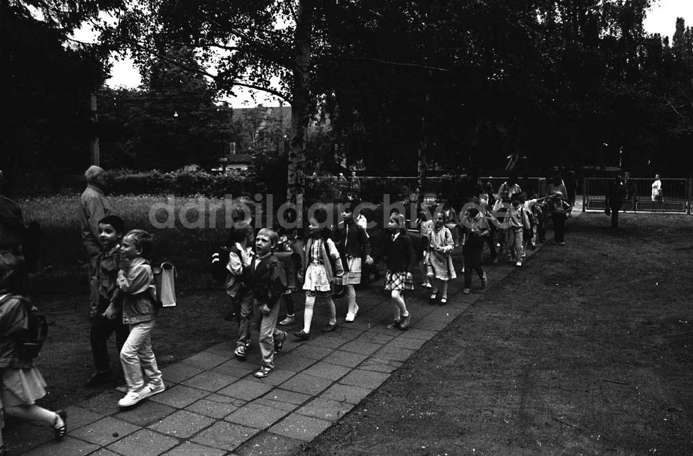 Dresden / Sachsen: Einschulung Martina Jentsch am 28.08.1987