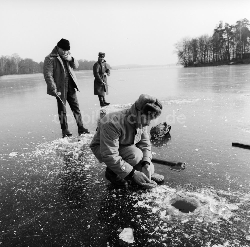 DDR-Bildarchiv: Zossen - Eisangler auf dem zugefrorenen Motzener See in Zossen in Brandenburg in der DDR