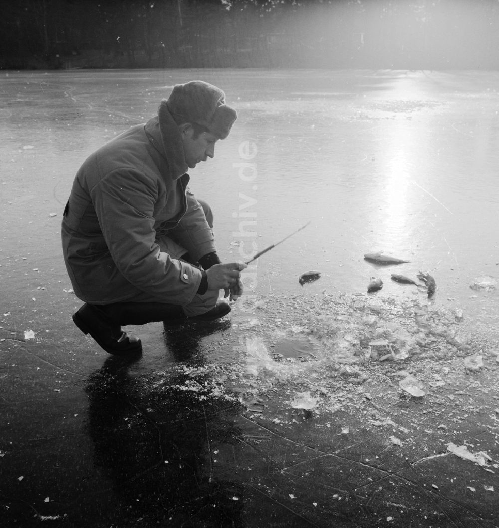 Zossen: Eisangler auf dem zugefrorenen Motzener See in Zossen im Bundesland Brandenburg auf dem Gebiet der ehemaligen DDR, Deutsche Demokratische Republik