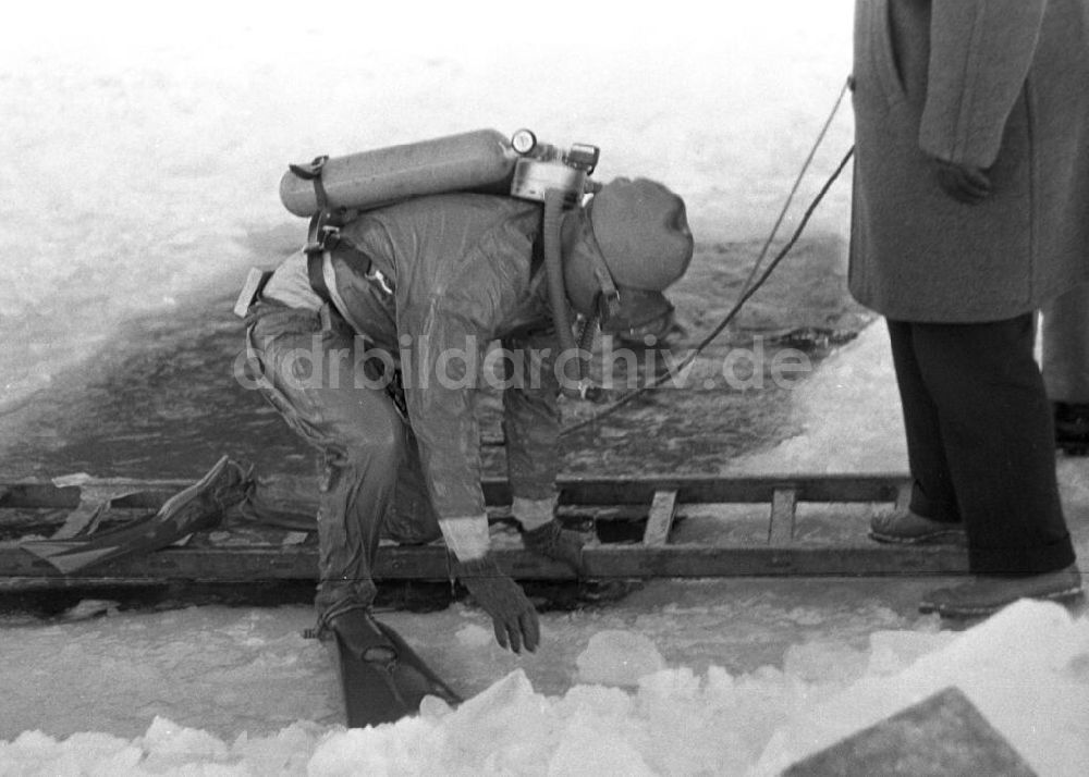DDR-Fotoarchiv: Ilmenau - Eistauchen bei der GST in Ilmenau