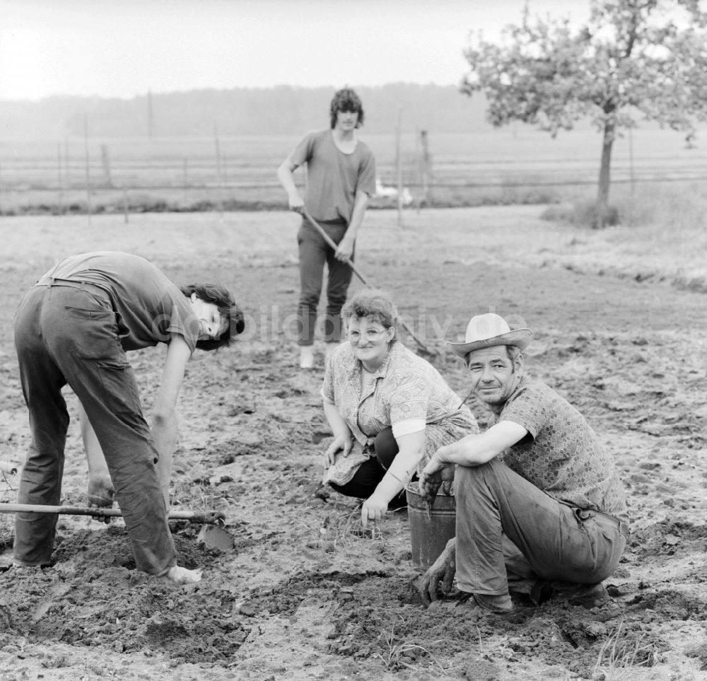 Birkholz: Familie bei der Feldarbeit in Birkholz in Sachsen-Anhalt in der DDR