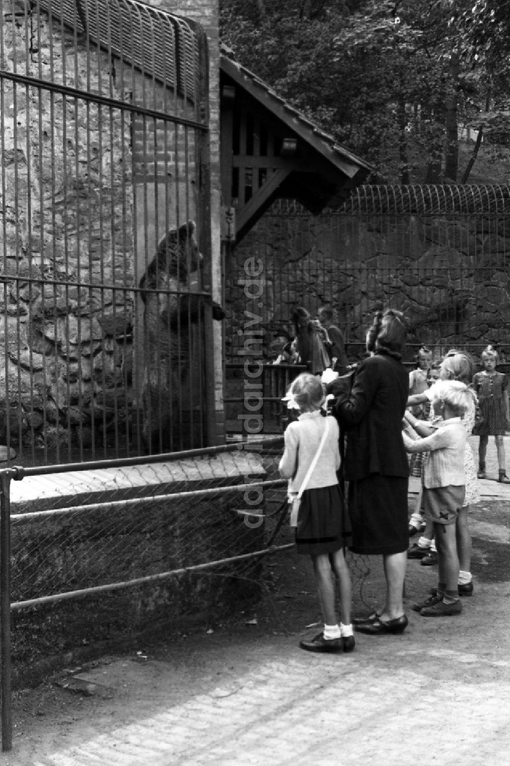 DDR-Fotoarchiv: Halle (Saale) - Familienausflug in den Tierpark in Halle (Saale) im Bundesland Sachsen-Anhalt auf dem Gebiet der ehemaligen DDR, Deutsche Demokratische Republik