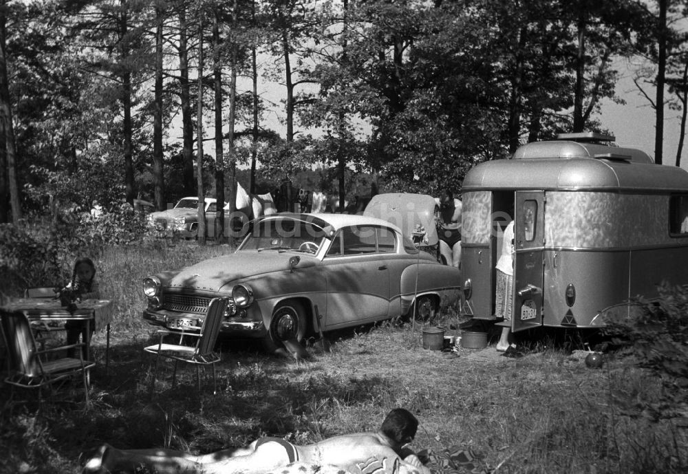 DDR-Bildarchiv: Malge - Familiencamping mit einem Wartburg 311 und Wohnwagen in Malge in Brandenburg