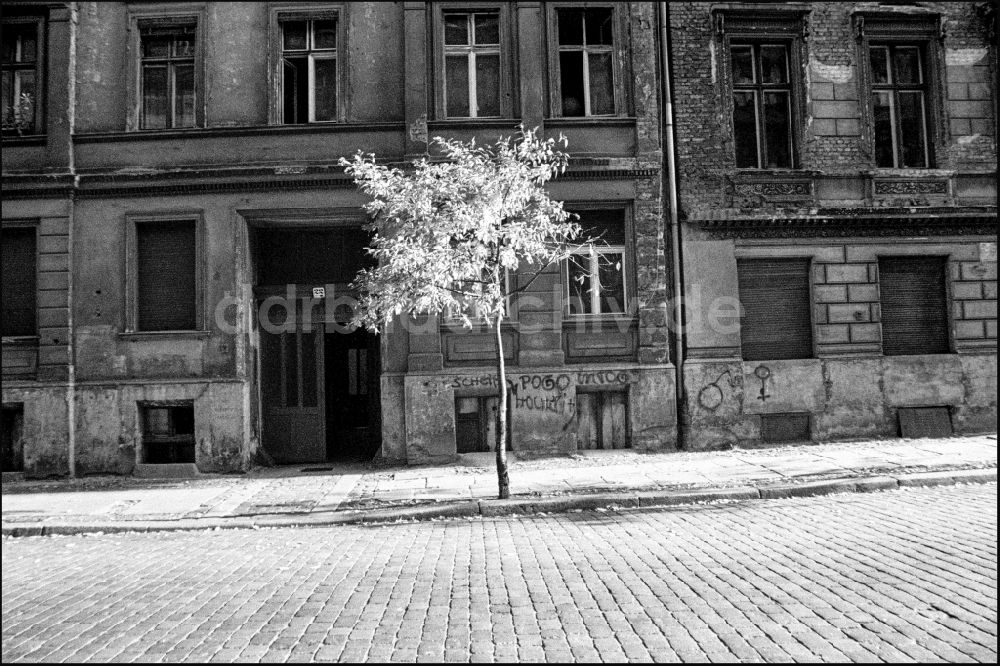 DDR-Fotoarchiv: Berlin - Fassadenverfall mit blühenden Baum als Kontrast in Berlin in der DDR