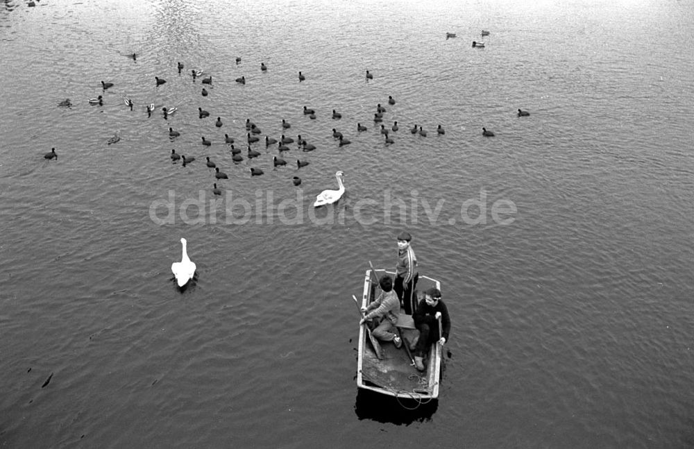 DDR-Fotoarchiv: - Ferien auf der Havel Umschlagnummer: 7239