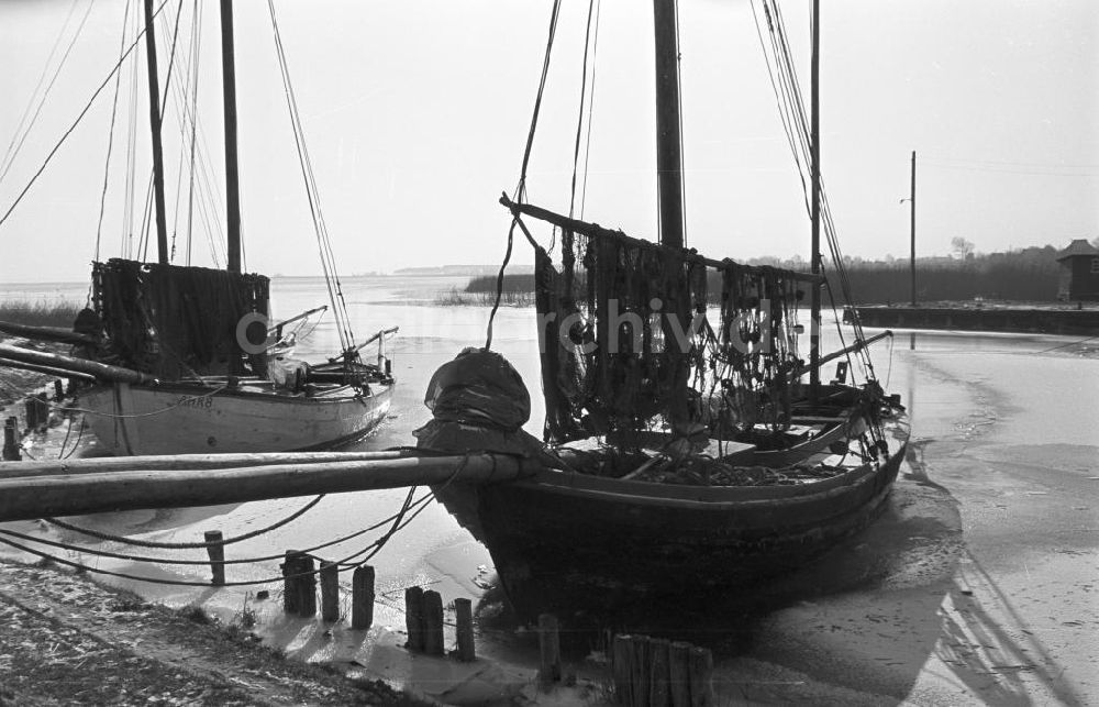 DDR-Bildarchiv: Zingst - Fischerboote an der Küste von Zingst, 1958