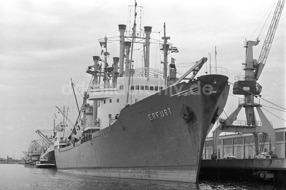 Rostock: Frachtschiff MS Erfurt im Hochseehafen Rostock, 1962
