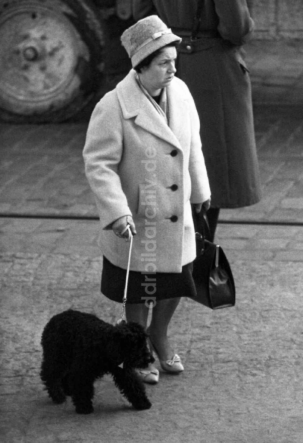 Berlin: Frau geht mit ihrem Hund spazieren in Ostberlin in der DDR