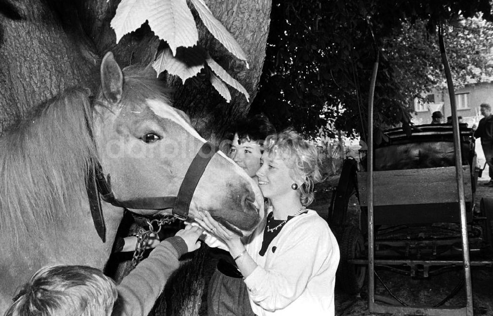 DDR-Bildarchiv: - Frauen und Kind mit Pferd Foto: Gebser