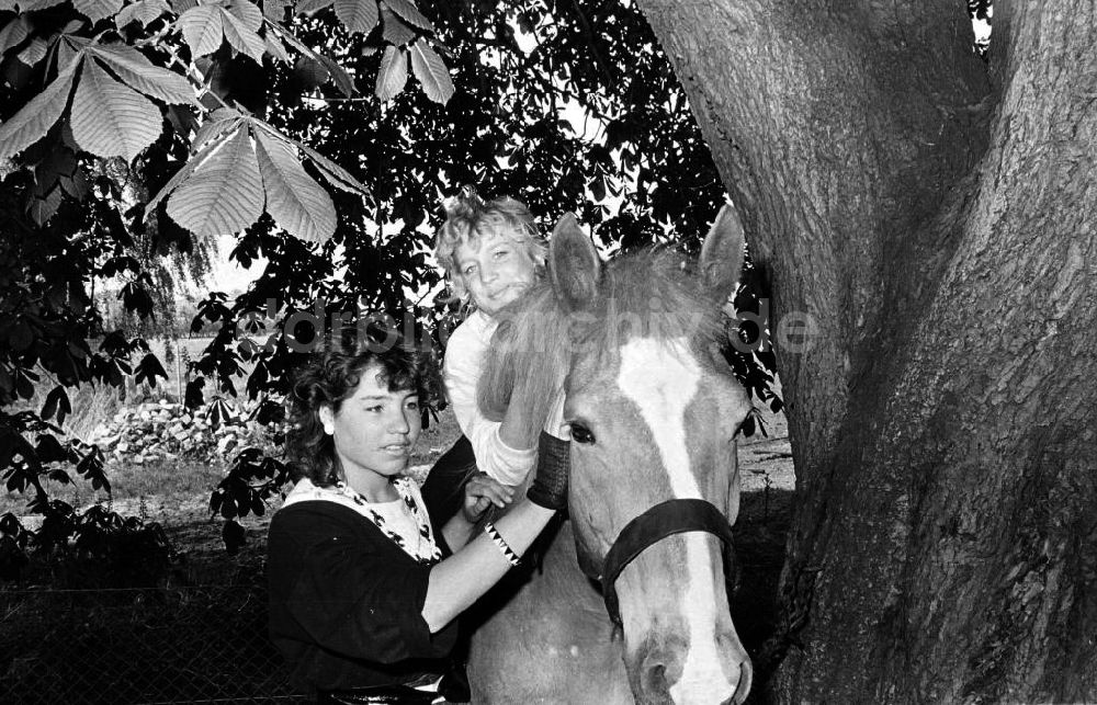 : Frauen mit Pferd Foto: Gebser