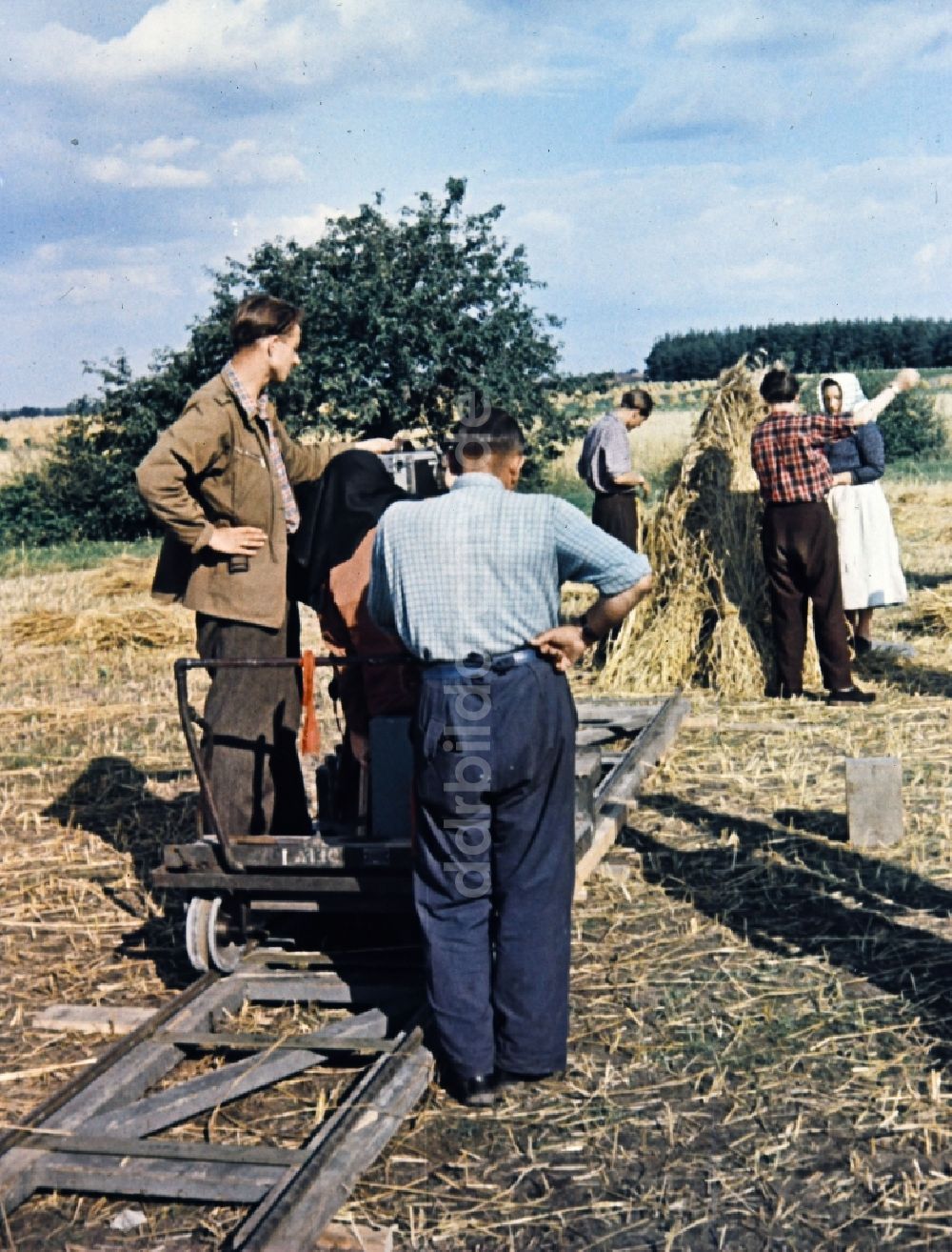 Teicha: Garben auf einem abgeernteten Feld in Teicha in Sachsen in der DDR