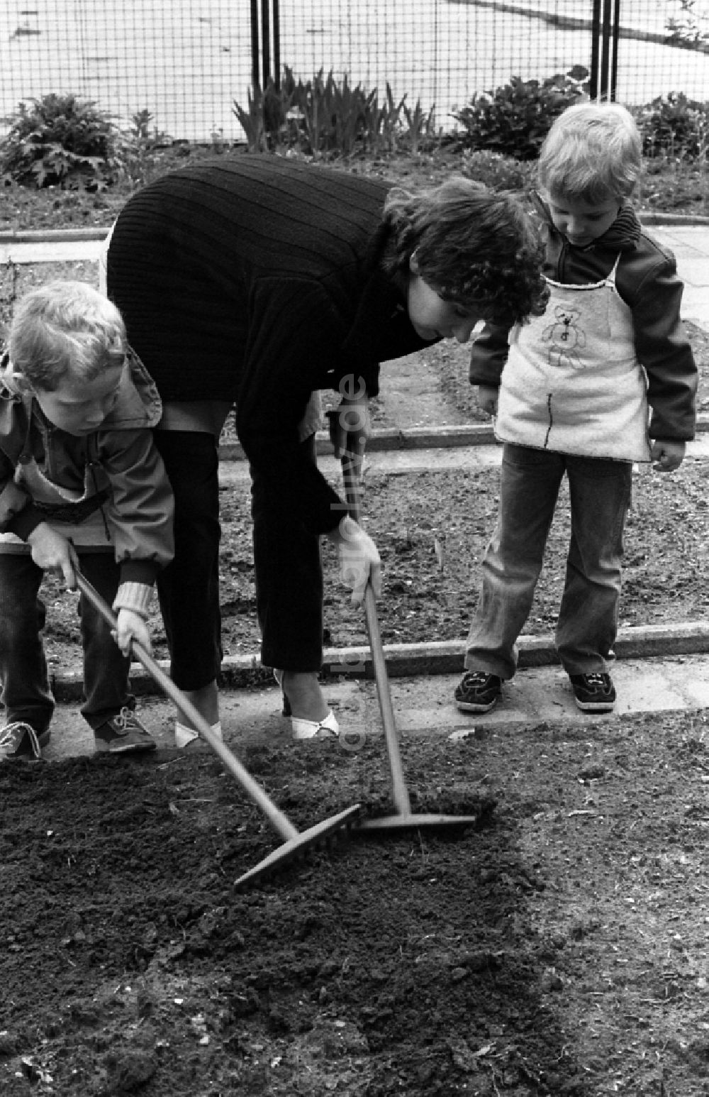 Berlin: Gartenarbeit im Schulgarten in Berlin, der ehemaligen Hauptstadt der DDR, Deutsche Demokratische Republik
