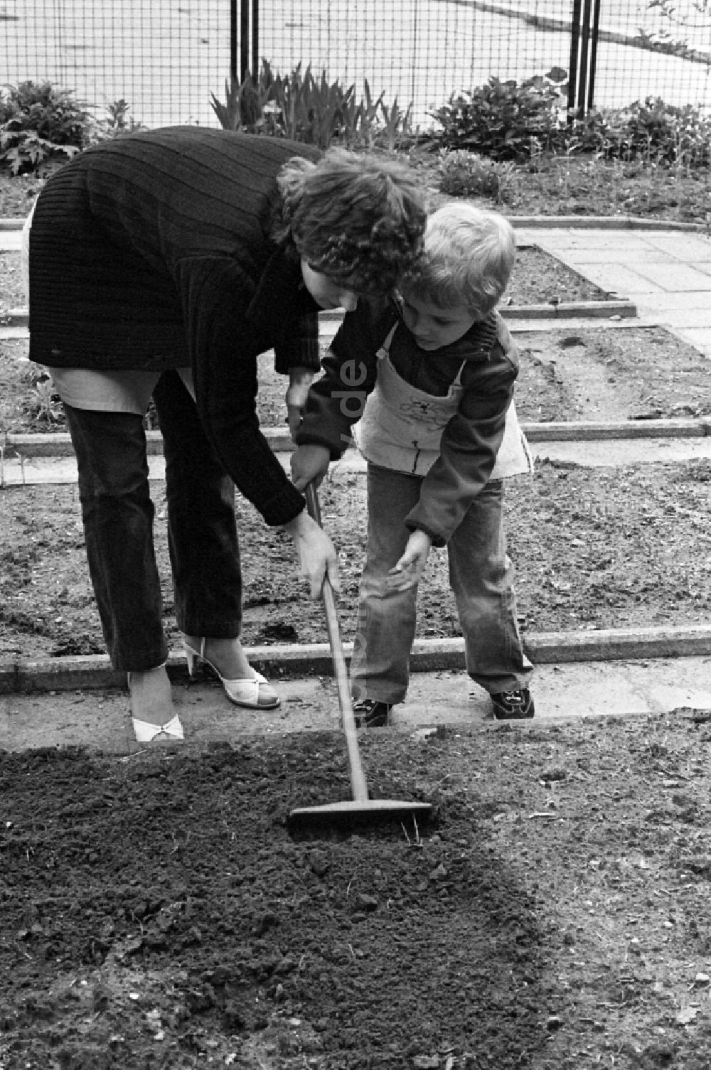 DDR-Bildarchiv: Berlin - Gartenarbeit im Schulgarten in Berlin, der ehemaligen Hauptstadt der DDR, Deutsche Demokratische Republik