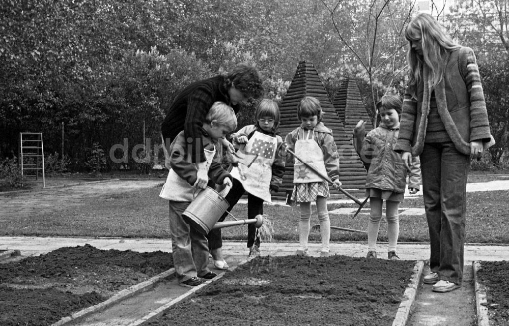 Berlin: Gartenarbeit im Schulgarten in Berlin, der ehemaligen Hauptstadt der DDR, Deutsche Demokratische Republik