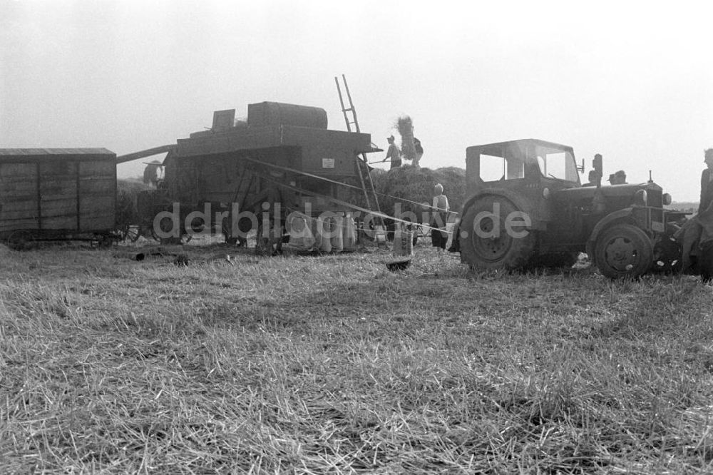 DDR-Bildarchiv: Schkeuditz - Getreideernte 1958
