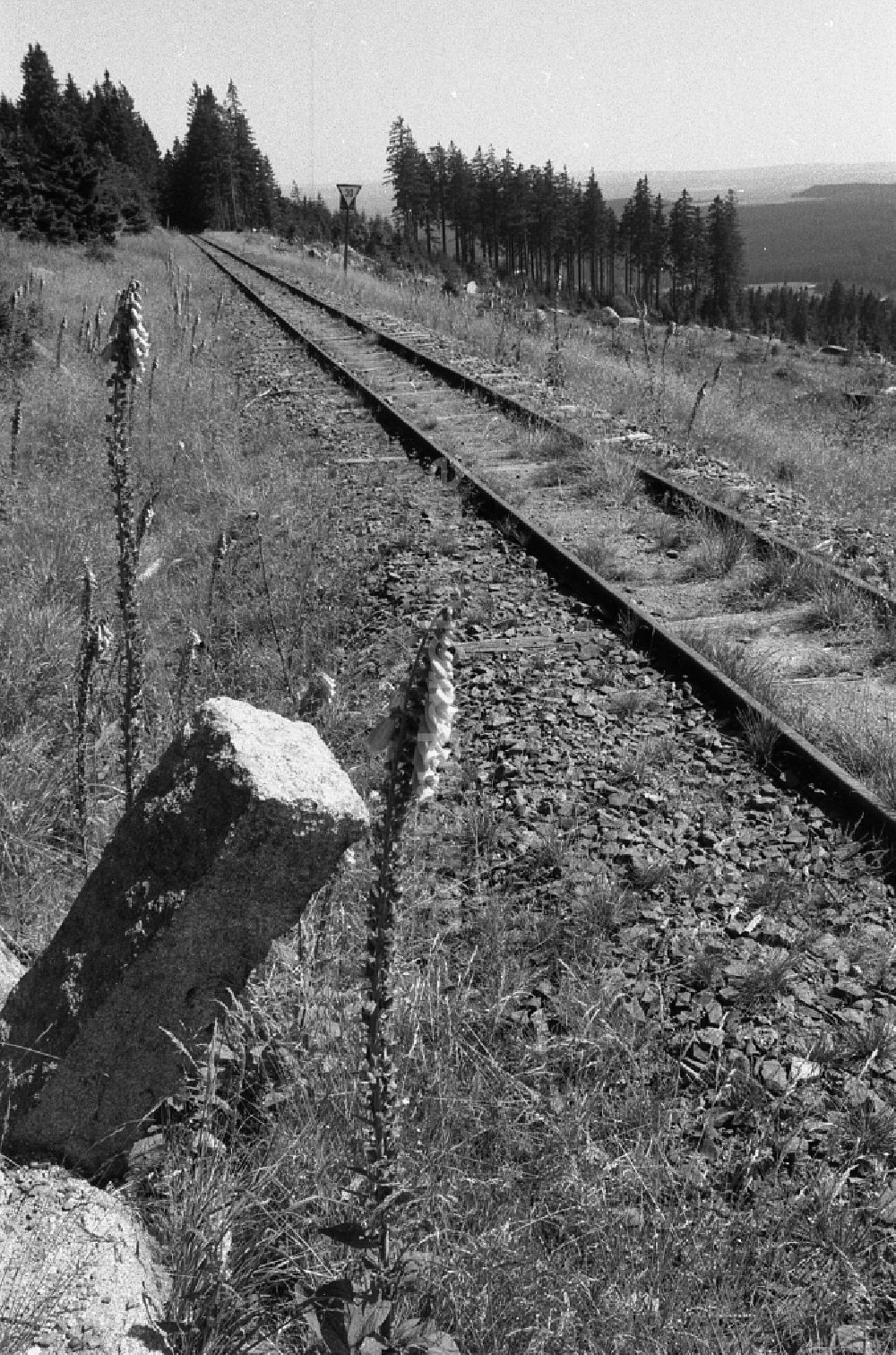 DDR-Bildarchiv: Schierke - Gleisanlagen auf dem Gipfel- Plateau des Brocken in Schierke in Sachsen-Anhalt in der DDR