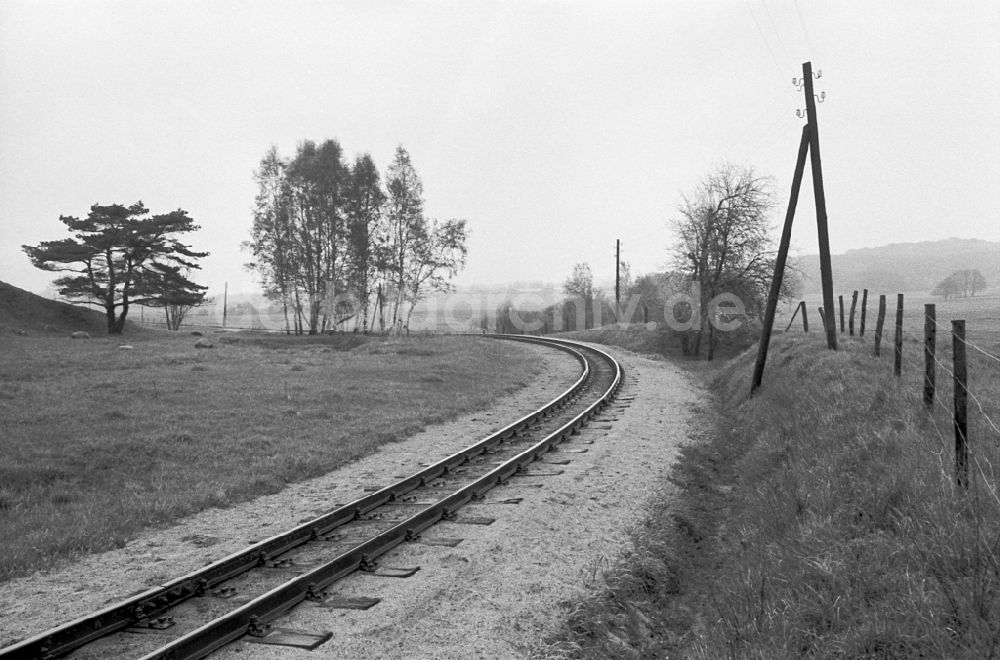 DDR-Fotoarchiv: Bergen auf Rügen - Gleisanlagen der Rügensche Bäderbahn - Rasender Roland in Bergen auf Rügen in der DDR