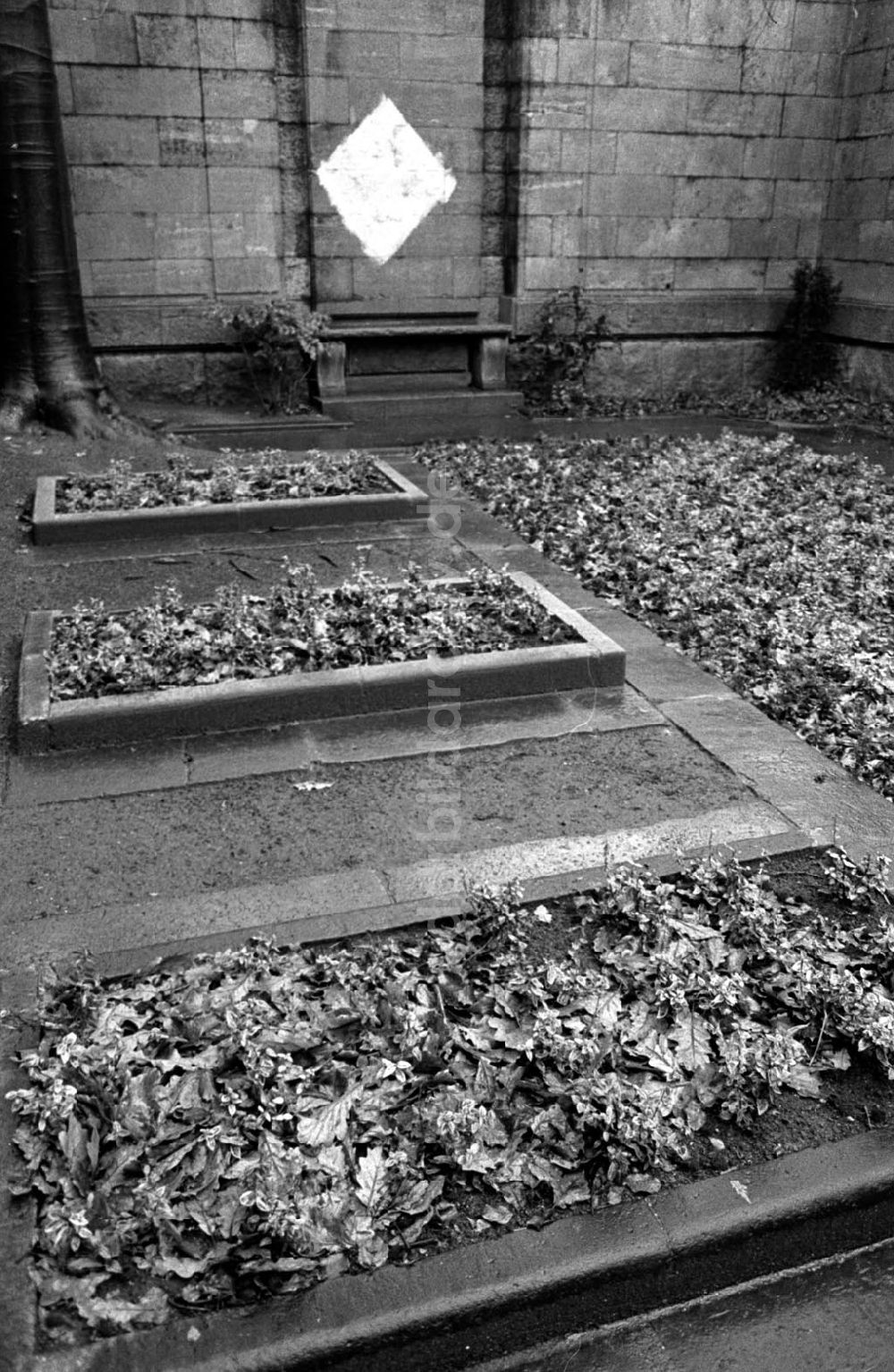 DDR-Bildarchiv: Berlin - Grab von Walter Rathenau geschändet 14.12.92 Foto: ND/Lange Umschlagnummer: 1235
