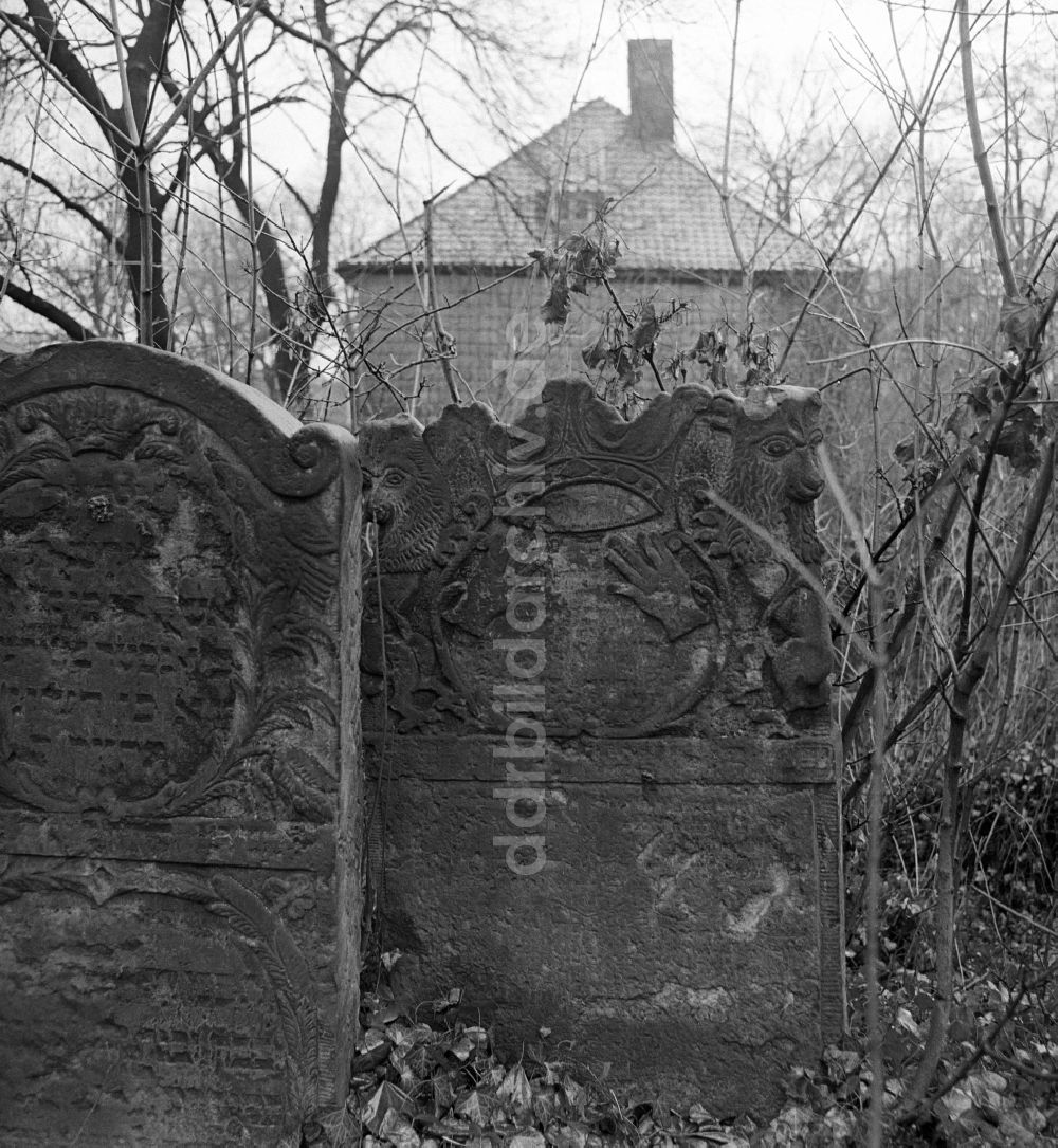 DDR-Fotoarchiv: Halberstadt - Grabstein Ensemble des Jüdischen Friedhof in Halberstadt in Sachsen-Anhalt in der DDR