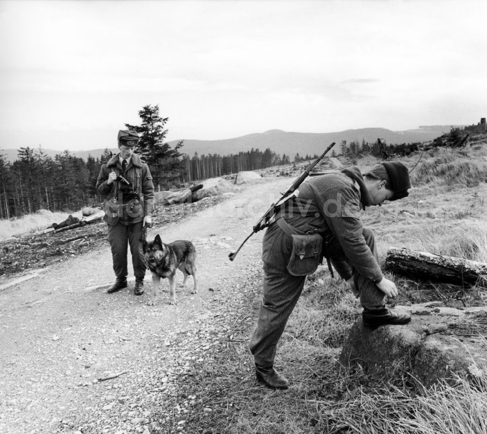 DDR-Bildarchiv: Abbenrode - Grenzstreife mit Hund in der Nähe von Abbenrode im heutigen Bundesland Sachsen-Anhalt