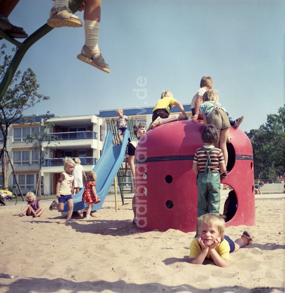 DDR-Bildarchiv: Rostock - Gruppe von Kindern und Jugendlichen auf einem Kletterbogen - Spielplatz in Rostock in Mecklenburg-Vorpommern in der DDR