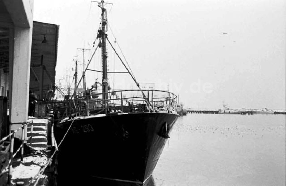 DDR-Fotoarchiv: Saßnitz - Hafen vom Fischkombinat in Saßnitz auf Rügen