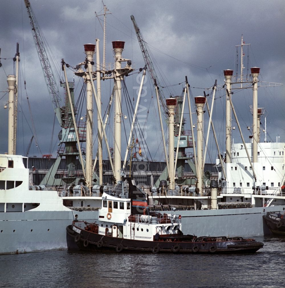 DDR-Fotoarchiv: Rostock - Handelsschiffe der DDR im Überseehafen Rostock in Mecklenburg - Vorpommern