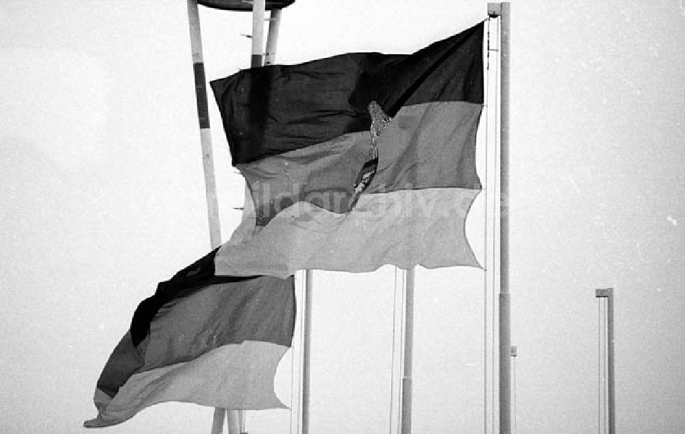 DDR-Bildarchiv: - Helmut Schmidt Besuch DDR 1981