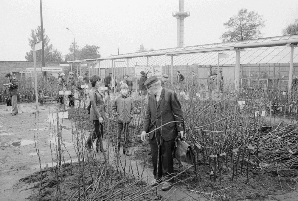 DDR-Fotoarchiv: Berlin - Herbstverkauf in der Baumschule Späth in Berlin, der ehemaligen Hauptstadt der DDR, Deutsche Demokratische Republik
