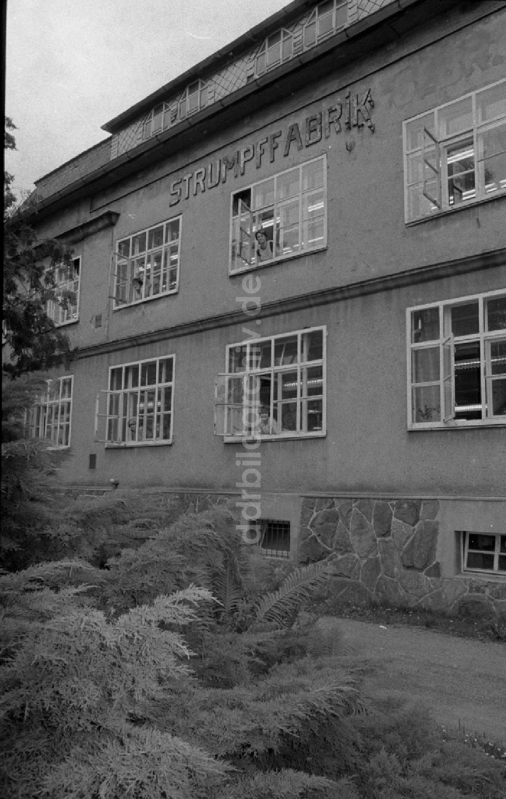 DDR-Fotoarchiv: Thalheim - Herstellung von Damenstrümpfen im VEB Feinstrumpfwerke Esda in Thalheim in Sachsen in der DDR