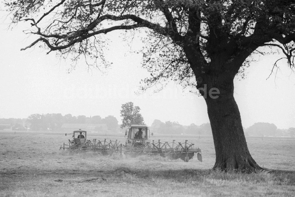DDR-Fotoarchiv: Lenzen (Elbe) - Heuwende mit einem Traktor auf einem Feld in Lenzen (Elbe) in Brandenburg in der DDR