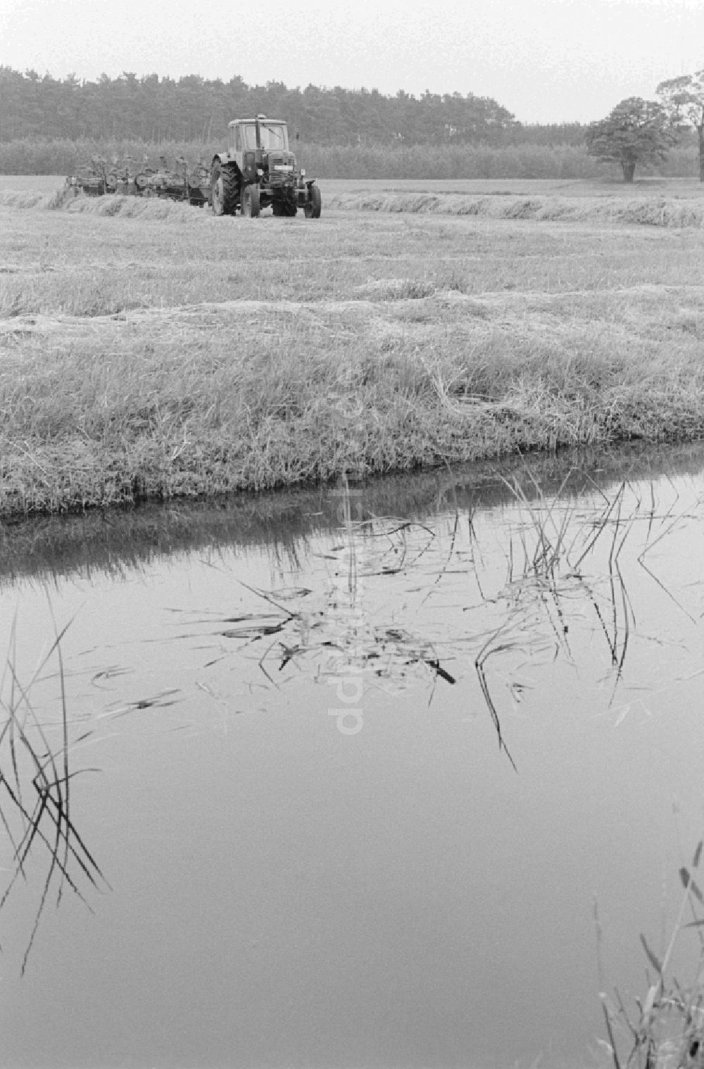 DDR-Bildarchiv: Lenzen (Elbe) - Heuwende mit einem Traktor auf einem Feld in Lenzen (Elbe) im Bundesland Brandenburg auf dem Gebiet der ehemaligen DDR, Deutsche Demokratische Republik