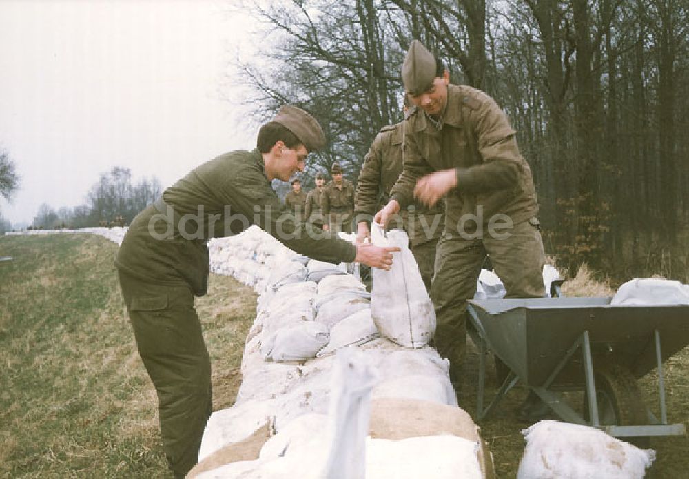 DDR-Bildarchiv: Stendal - Hochwassereinsatz von NVA-Soldaten im Raum Stendal 31.03.1988