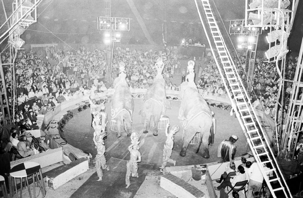 DDR-Fotoarchiv: Berlin - Im Zirkus Busch - Gastspiel sowjetischer Staatszirkus im Plänterwald 07.11.89 Foto: Grahn Umschlag 1329