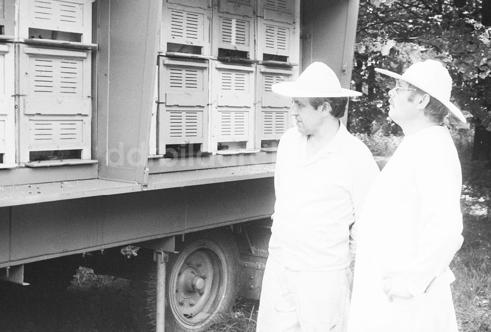 DDR-Bildarchiv: Berlin - Imker vor einem Bienenstockwagen in Berlin, der ehemaligen Hauptstadt der DDR, Deutsche Demokratische Republik