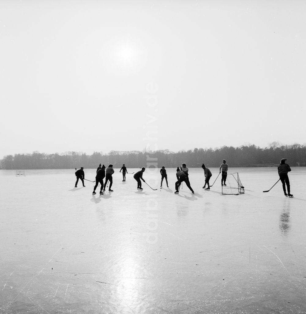 DDR-Bildarchiv: Zossen - Jugendliche spielen Eishockey auf dem zugefrorenen Motzener See in Zossen in Brandenburg in der DDR