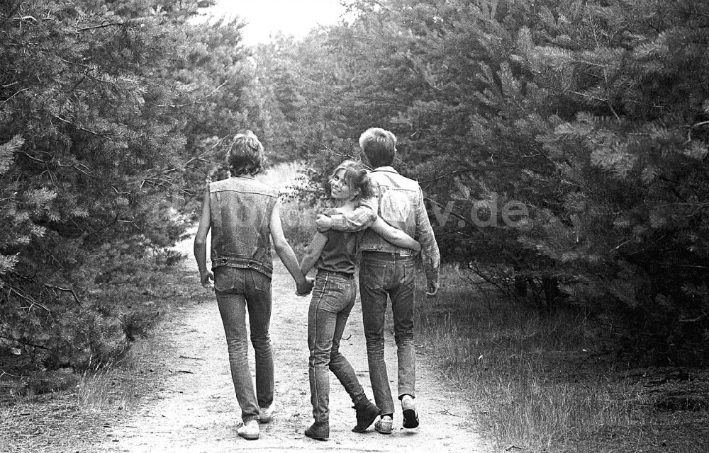 DDR-Fotoarchiv: Borkheide - Jugendliches Paar beim Spaziergang in einem Waldstück in Borkheide in Brandenburg in der DDR
