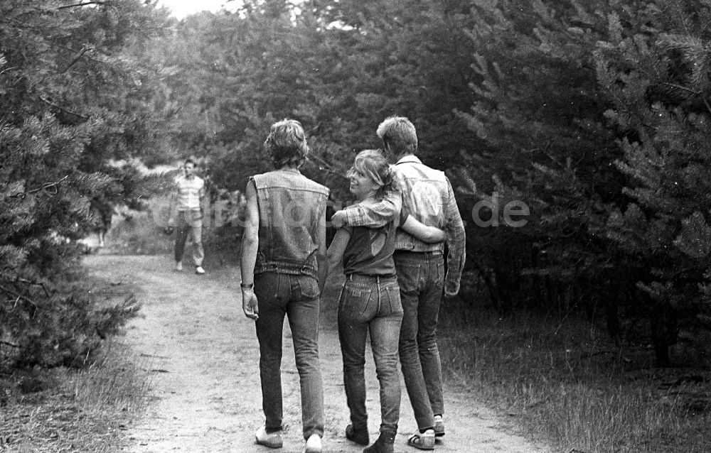 Borkheide: Jugendliches Paar beim Spaziergang in einem Waldstück in Borkheide in Brandenburg in der DDR