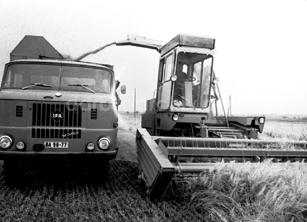 DDR-Bildarchiv: Parchim - Juli 1973 VEG Parchim (Paletierung).