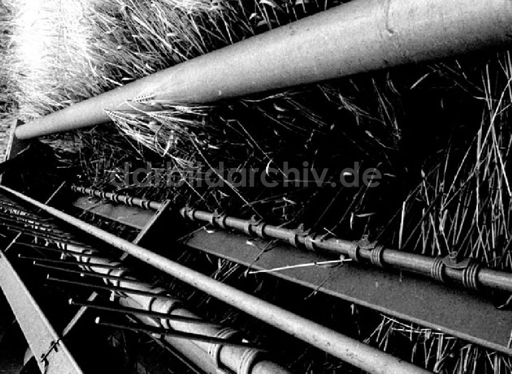 DDR-Fotoarchiv: Parchim - Juli 1973 VEG Parchim (Paletierung).