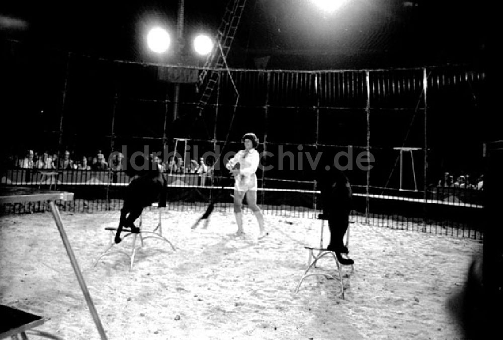 Berlin: Juli 1973 Zirkus Aeros in Berlin.