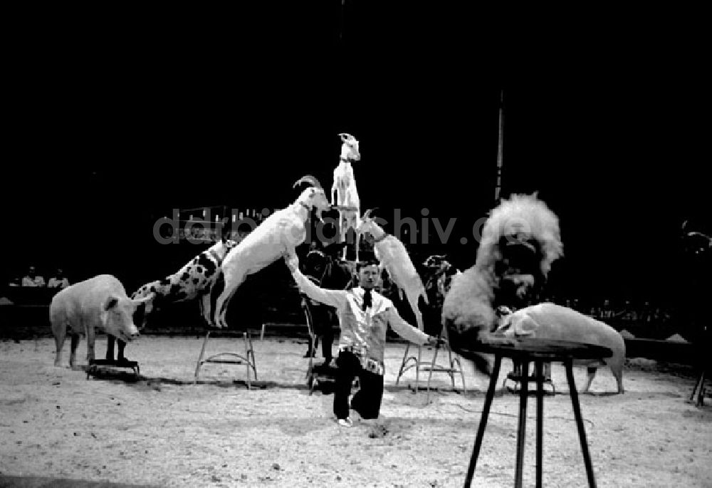 DDR-Fotoarchiv: Berlin - Juli 1973 Zirkus Aeros in Berlin.