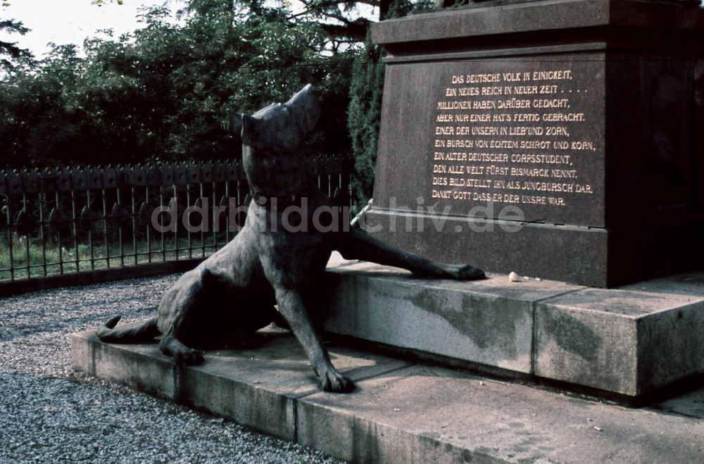 DDR-Bildarchiv: Bad Kösen - Jungbismarck-Denkmal auf der Rudelsburg bei Bad Kösen