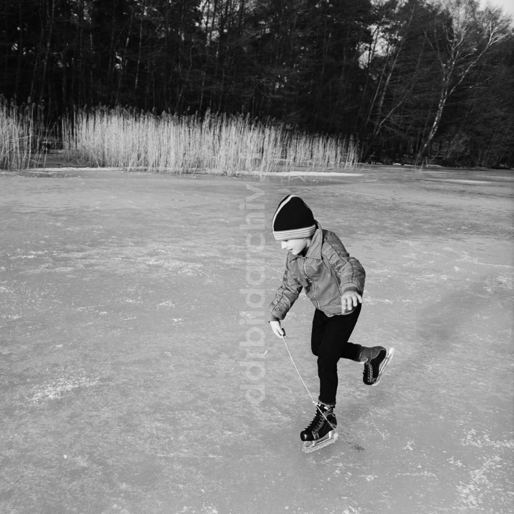 DDR-Fotoarchiv: Grünheide (Mark) - Junge beim Schlittschuhlaufen auf einem zugefrorenen See in Grünheide (Mark) im heutigen Bundesland Brandenburg